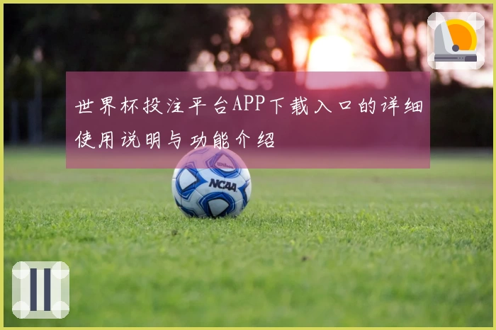 世界杯投注平台APP下载入口的详细使用说明与功能介绍