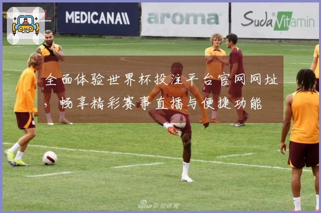 全面体验世界杯投注平台官网网址，畅享精彩赛事直播与便捷功能