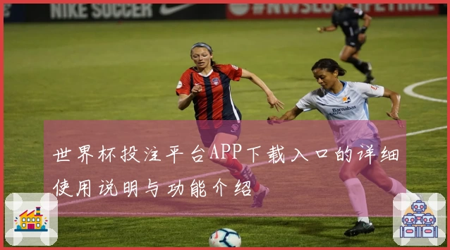世界杯投注平台APP下载入口的详细使用说明与功能介绍
