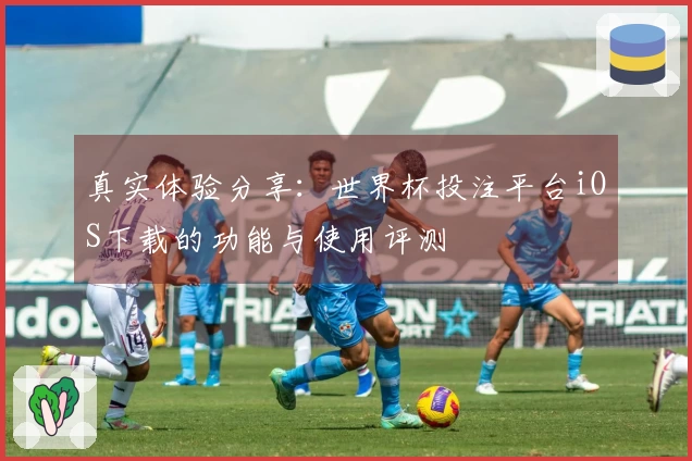 真实体验分享：世界杯投注平台iOS下载的功能与使用评测