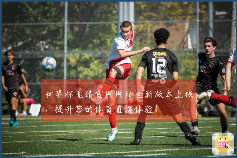 世界杯竞猜官网网址全新版本上线，提升您的体育直播体验！